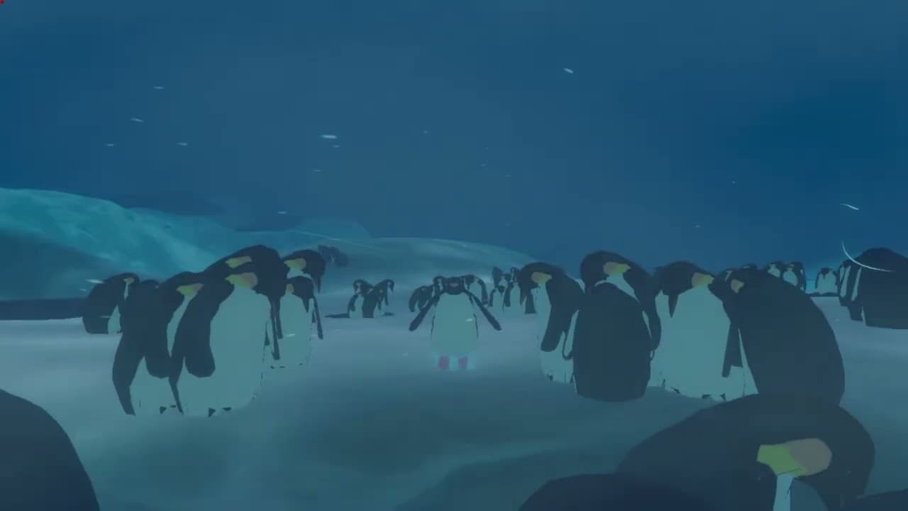 Penguin Colony
